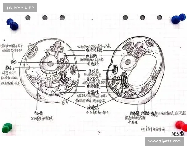冰虫鳞片结构对其适应性功能及生物学意义的探讨 冰虫鳞片结构对其适应性功能及生物学意义的探讨