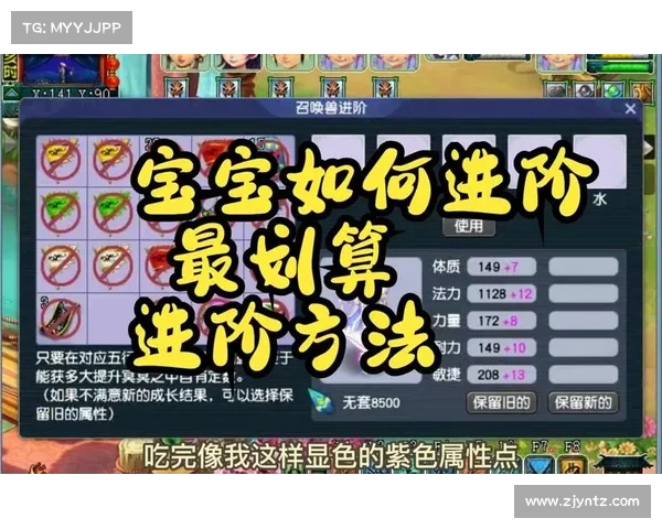 梦幻西游宝宝练级最佳地点推荐详细分析助你轻松提升宝宝实力